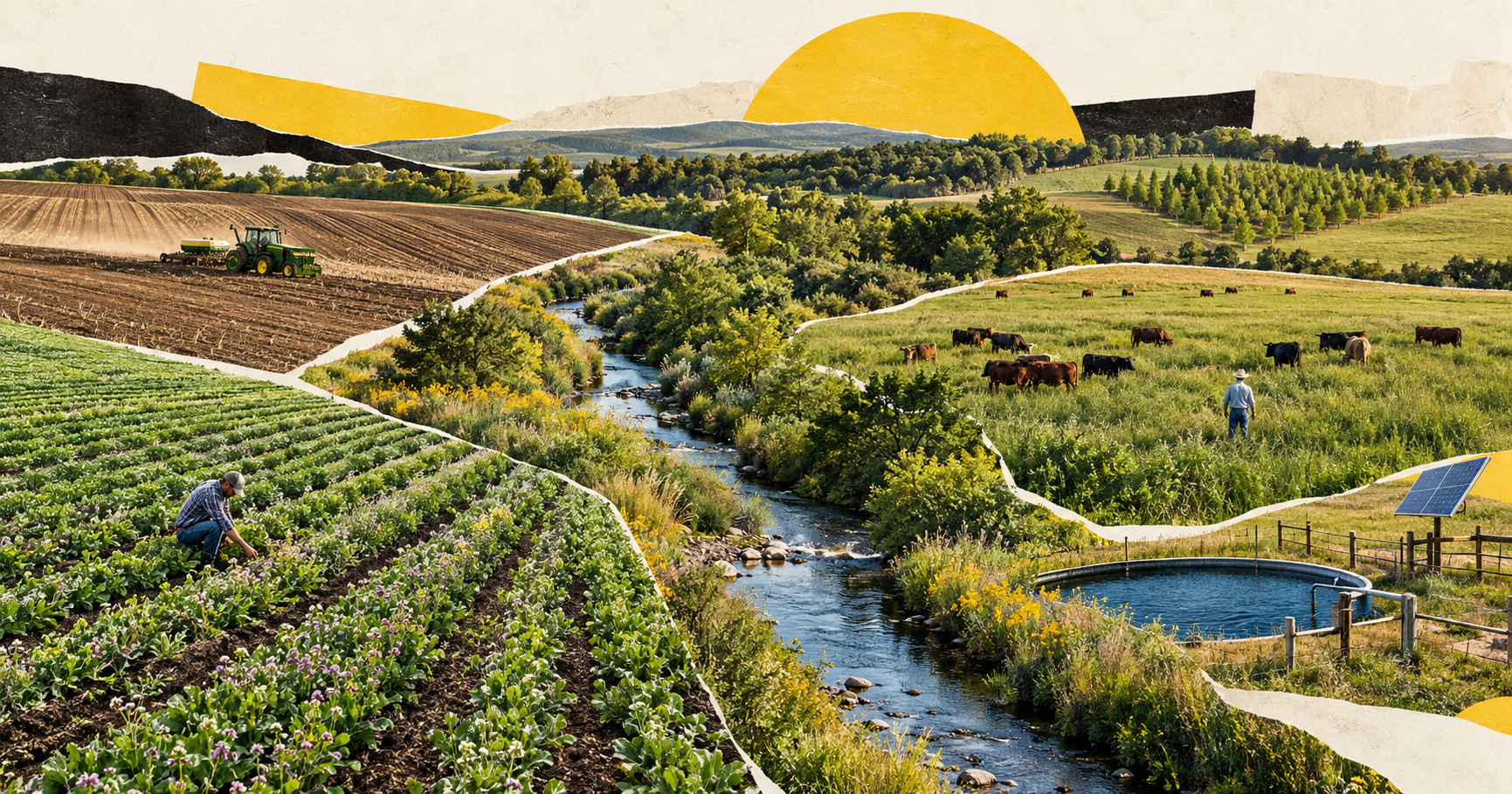 $325 MILLION WILL PUT 42 WORKING-LANDS CONSERVATION PROJECTS INTO PRACTICE.